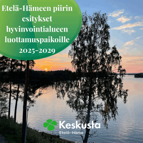 Etelä-Hämeen piirin esitykset hyvinvointialueen luottamuspaikoille kaudelle 2025-2029