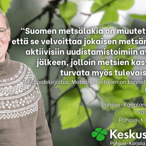 Paavo Korhonen: Metsänomistajien on kannettava vastuunsa