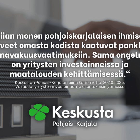 Vakuudet yritysten investointien ja asuntokriisin ytimessä