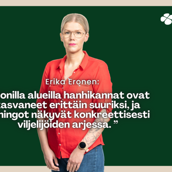 Erika Eronen: Valkoposkihanhikeskustelussa pitäisi vihdoinkin nähdä myös maaseudun todellisuus