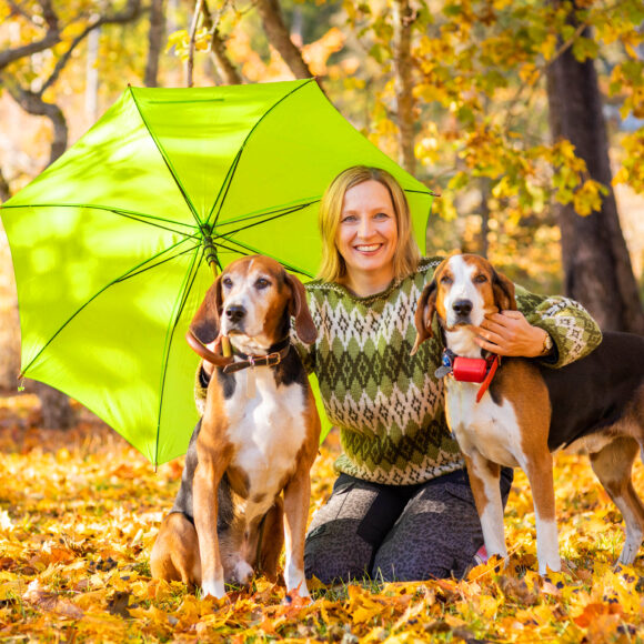 Lähellä ja avoimesti – uusi aluevaltuusto aloitti haasteiden keskellä