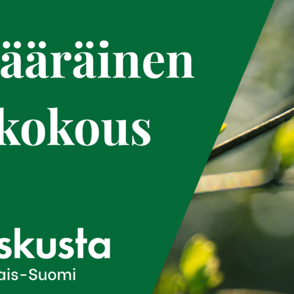 Ylimääräinen piirikokous